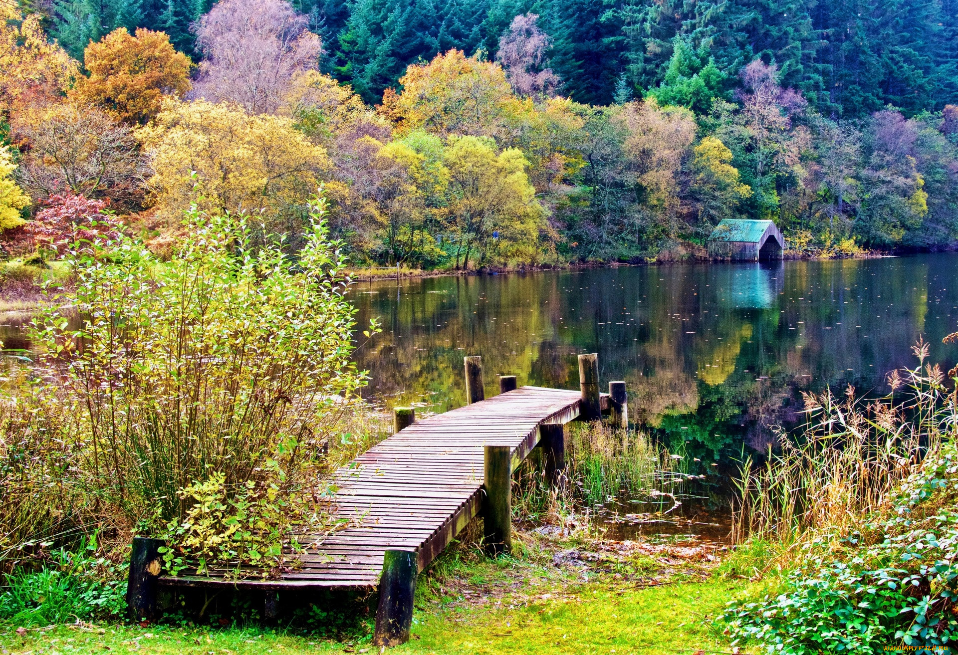 Стол на природе у озера